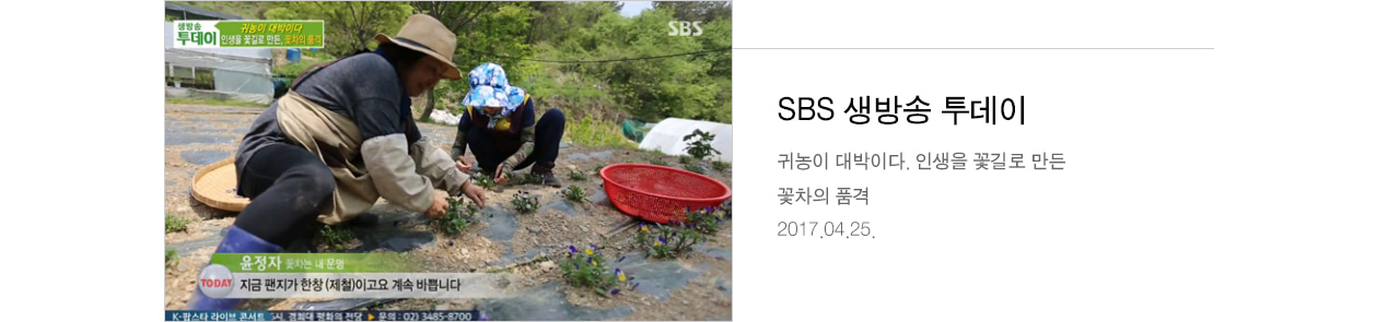 SBS 생방송 투데이